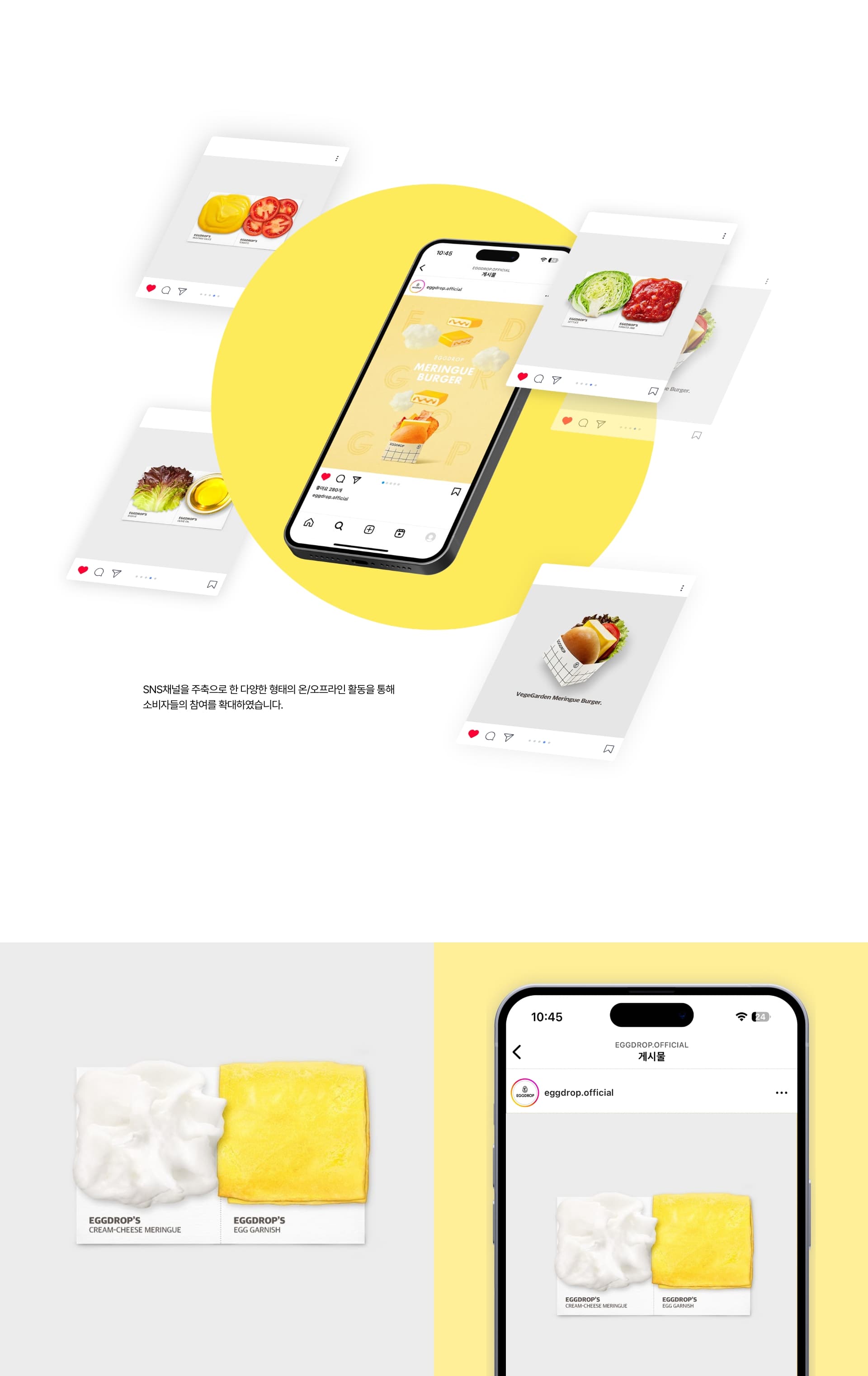 EGGDROP SNS — 2