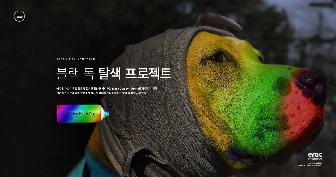 케어(CARE) '블랙독 캠페인' UX/UI 구축 1