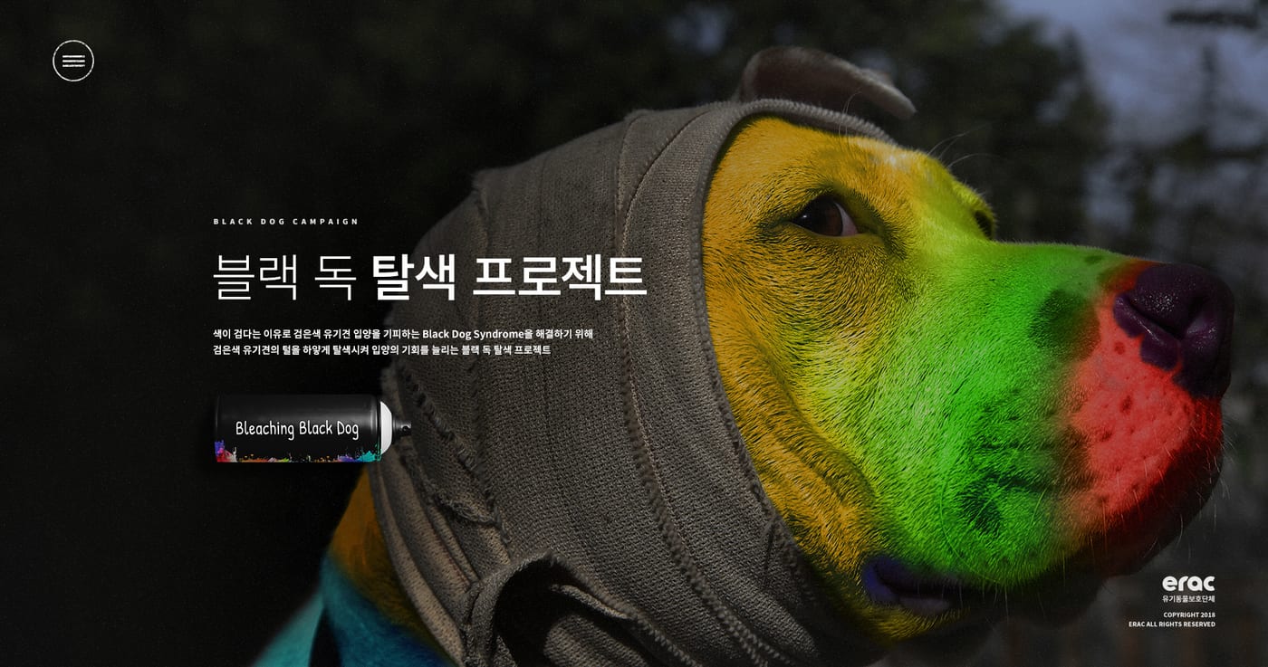 케어(CARE) '블랙독 캠페인' UX/UI 구축 2