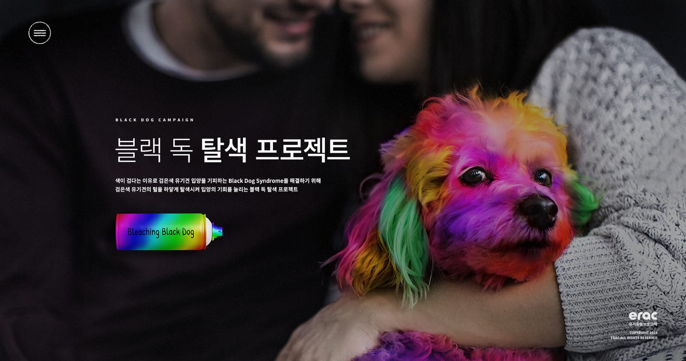 케어(CARE) '블랙독 캠페인' UX/UI 구축 4