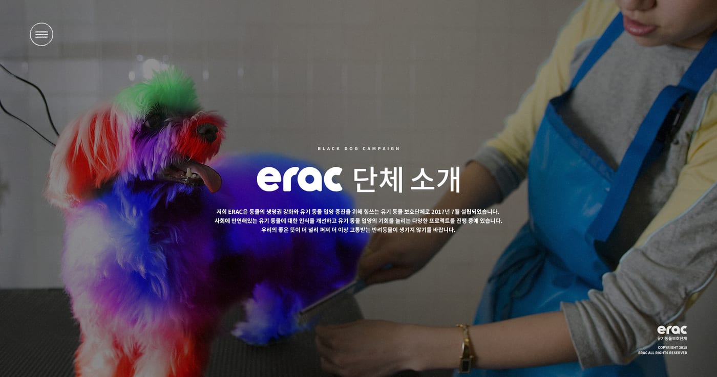 케어(CARE) '블랙독 캠페인' UX/UI 구축 5